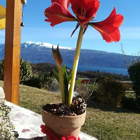 Holiday home La Casa Nel Verde